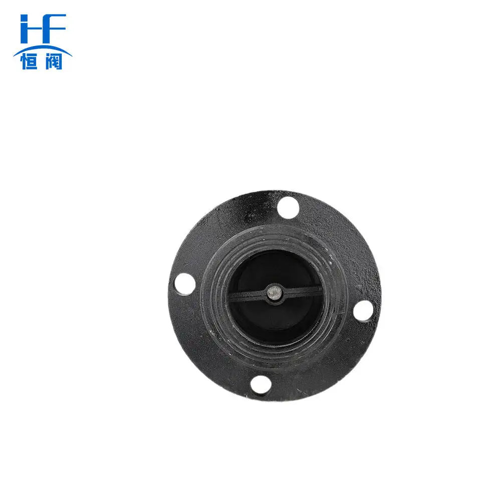 Hengfa Factory Price H42X-1.0/1.6/2.5 New Flange Bottom Foot Valve Ductile Iron Manual Control Structure DN40-DN300 ISO9001