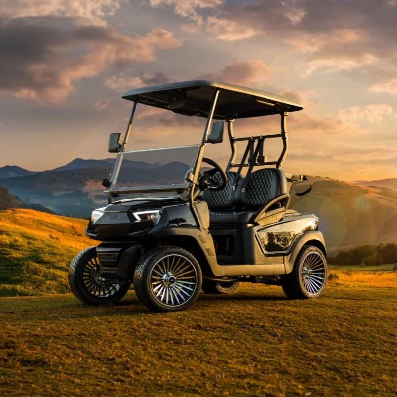 Golf Push Cart Golf Buggy Utility Vehicle Strong Chassis Smooth Drive for Outdoor Recreation