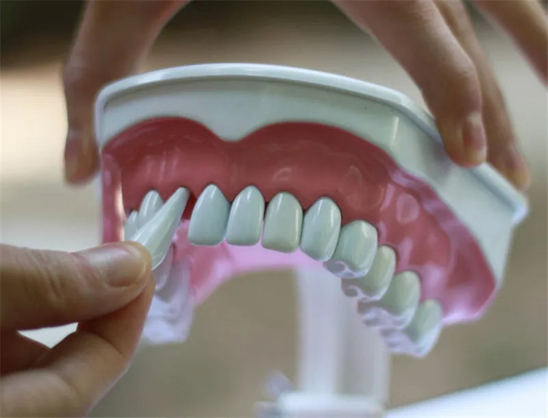 G Type Plastic Dental Toothbrush for Effective Brushing Multi-Purpose Teeth Whitening Accessory