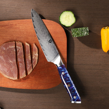 WILDMOK High Quality 5 Inch Utility Damascus Knife 67 Layers Damascus Steel Kitchen Paring Knife with Resin Handle