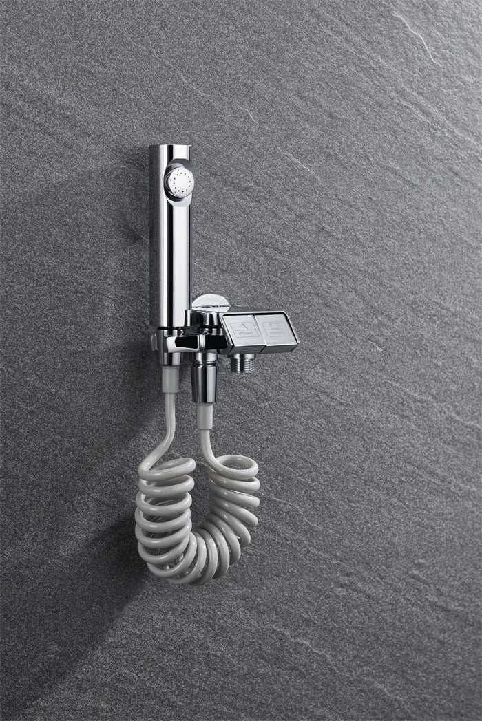 Bathroom Wall Mounted Chrome-Plated Brass Toilet Companion Bidet Sprayer Set
