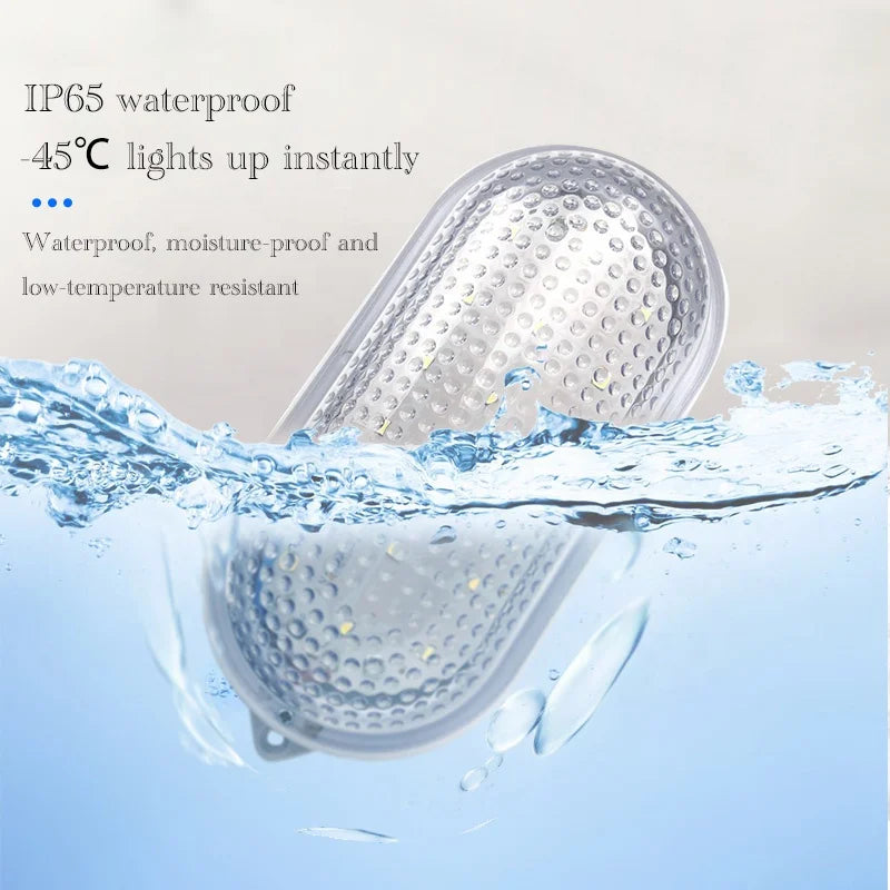 8W IP65 Waterproof Cold Storage LED Lamp for Home Kitchen Cool White Light