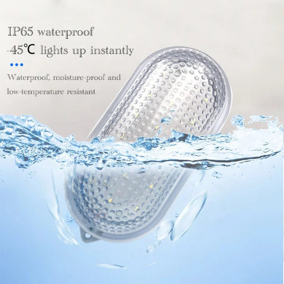 8W IP65 Waterproof Cold Storage LED Lamp for Home Kitchen Cool White Light