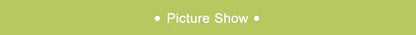 2/3/5L Garden Sprayer Water Pump Pressure Sprayer Adjustable Strap Plant Spray Bottle Lawn Agriculture Gardening Irrigation Tool