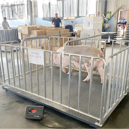 High Quality Carbon Steel 5 Ton Cattle Weighing Scales Industrial Electronic Balance Platform Floor Weighing Scales for Sale