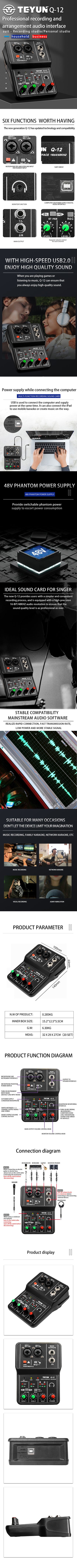 TEYUN Q-24 Q-22 Q-12 Professional Sound Card Audio Mixer Channel Monitoring Electric Guitar Live Recording For Studio Singing