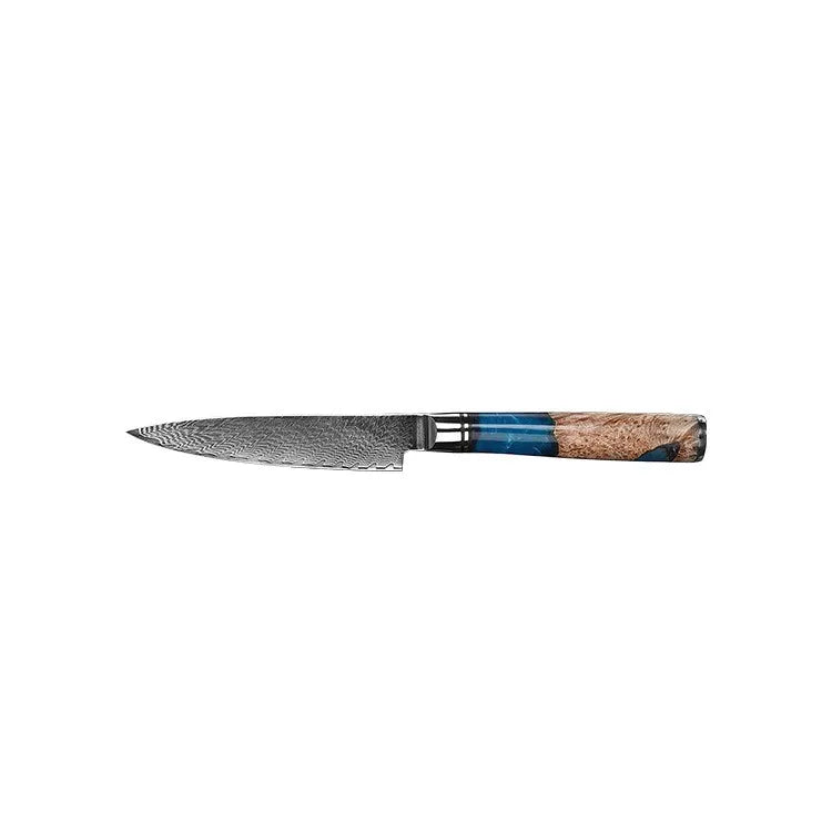 VG 10 Damascus Steel Kitchen Knife Set Household Knife Professional Chef's Knife With Stable Wooden Handle