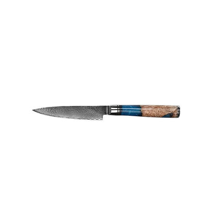 VG 10 Damascus Steel Kitchen Knife Set Household Knife Professional Chef's Knife With Stable Wooden Handle