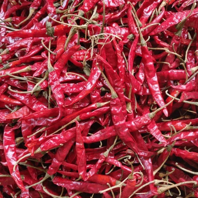Premium Teja S17 Raw AD Dried Red Chilli Export Quality High Pungency Whole Red Pepper Bulk Supply From India