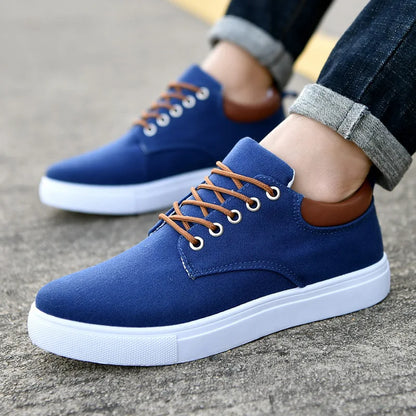Shoes Men New Style 2024 Walking Shoes Casual Canvas Plus Size 48 Board Height Increasing Shoes