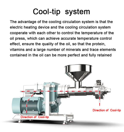 New Design 20KG/H Cold Press Oil Machine Peanut Sesame Sunflower Seed Peanut Cold Screw Oil Press Machine