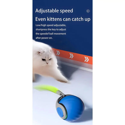 2025 Smart Interactive Cat Ball Type-C Rechargeable Automatic Pet Toy New Year Gift for Cats Made in China