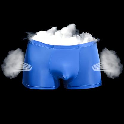 Boxer Briefs Pure Color Breathable Knitted Low-rise Ultra-thin Polyamide Ice Silk Quick-dry Men's Underwear Waist Silk Screen