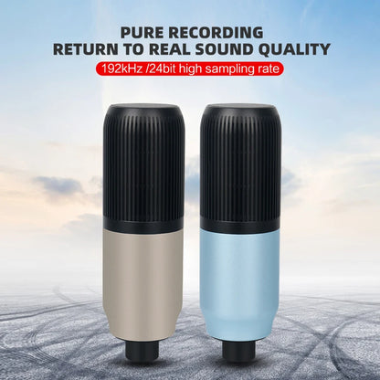2021 Popular Production USB Microphone   Blue Gold NC 80 Studio  Condenser Microphone