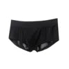 Boxer Ultra-thin Breathable Knitted Ice Silk Fiber Translucent Cool Underwear All Seasons Daily Casual Low-waisted Men's
