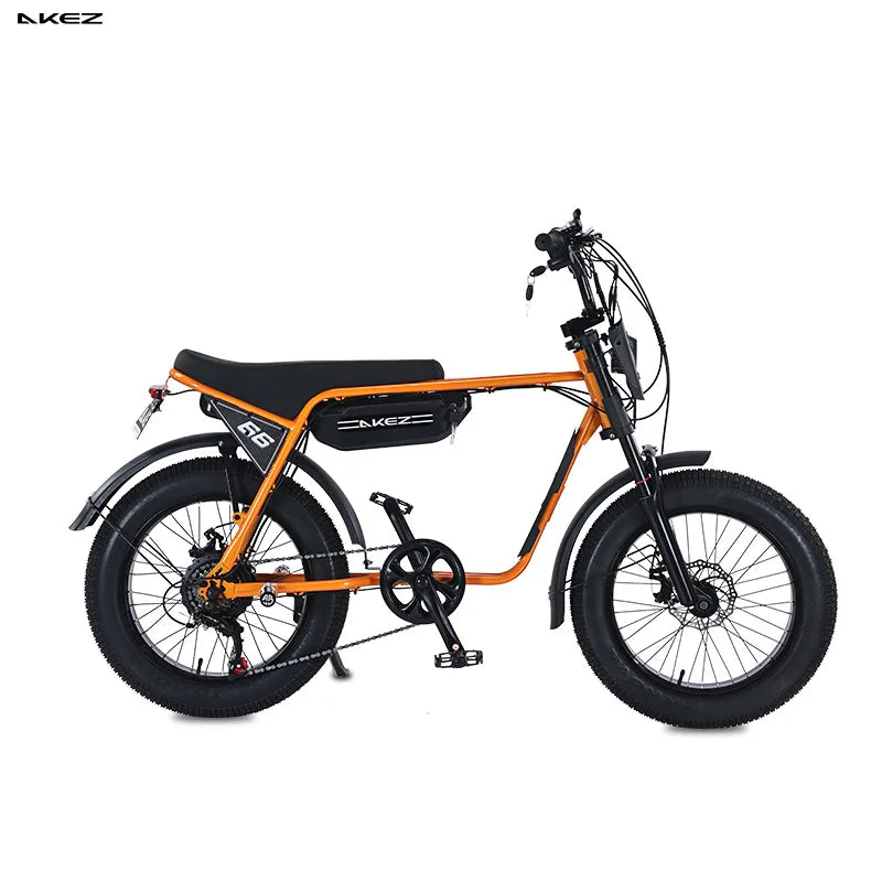 20-Inch Fat Tire Rear Hub Motor 750W Electric City Bike for 2 People with Foot Pegs-Snow & Beach Retro Style