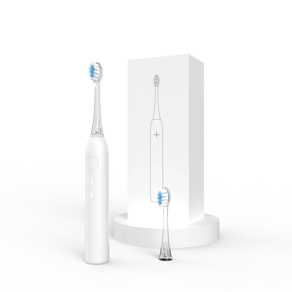 Adult IPX8 Oscillate Sonic Electric Toothbrush Naf Bristles Soft Brush Head Type-C OEM Brand