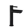 Stainless Steel 304 Basin Faucet Single Cold Water Faucet Tap Single Handle Bathroom Wash Basin Faucet