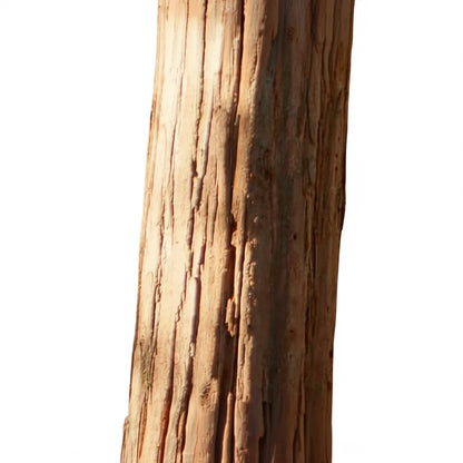 Round Log Zhonghua02001 For Outdoor Use Natural Wood