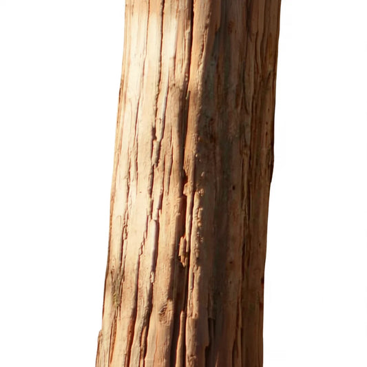 Round Log Zhonghua02001 For Outdoor Use Natural Wood