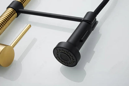 Kitchen Faucet Mixer Tap Black Gold  Pull Out Spring Kitchen Faucets