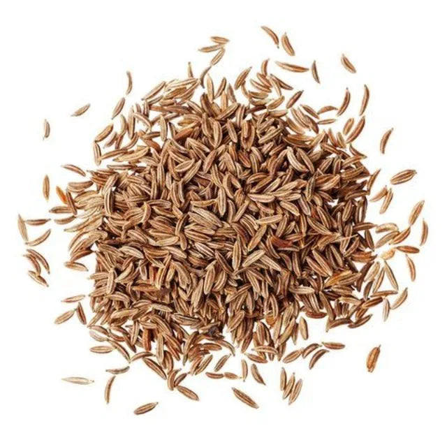 Premium Cumin Seeds Jeera Export Quality Whole Spice Cleaned Natural Seasoning Culinary Aroma from Saanvisha Gujarat India