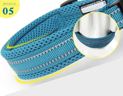 Truelove Pet Dog Collar Nylon Adjustable Webbing Padded Soft Reflective Durable Heavy Duty Training Custom Luxury Cat TLC5011