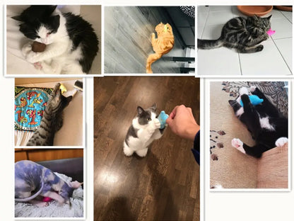 Teeth Grinding Catnip Toys Funny Interactive Plush Cat Toy Pet Kitten Chewing Vocal Toy Claws Thumb Bite Cat mint For Cats