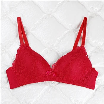 Bras For Women Push Up Plus Size Brassiere Sexy Lace Brasier Mujer Seamless Bralette  Wireless Ladies Bra