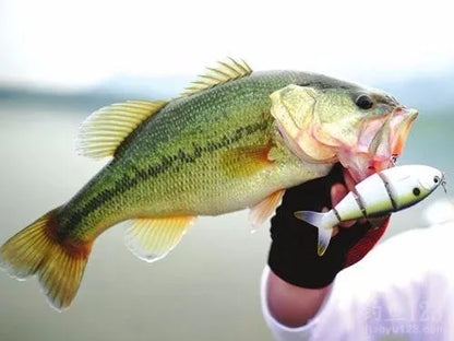 Hot Minnow 9CM 8G Japan Iscas Minnow Feather Hook Set Fishing Lures