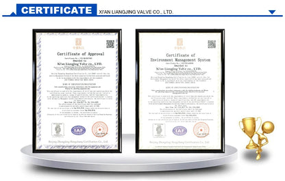 CF8 Stainless Steel 304 Adjustable Pressure Reducing Valve Relief Valve for Branch Pipeline Use by PDG ibma
