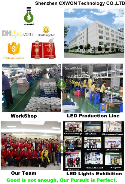 Two Adjustable Heads 180 Detection Angle 10W  COB Waterproof LED Outdoor Motion Sensor Security Flood Lights