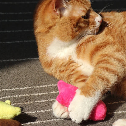 Teeth Grinding Catnip Toys Funny Interactive Plush Cat Toy Pet Kitten Chewing Vocal Toy Claws Thumb Bite Cat mint For Cats