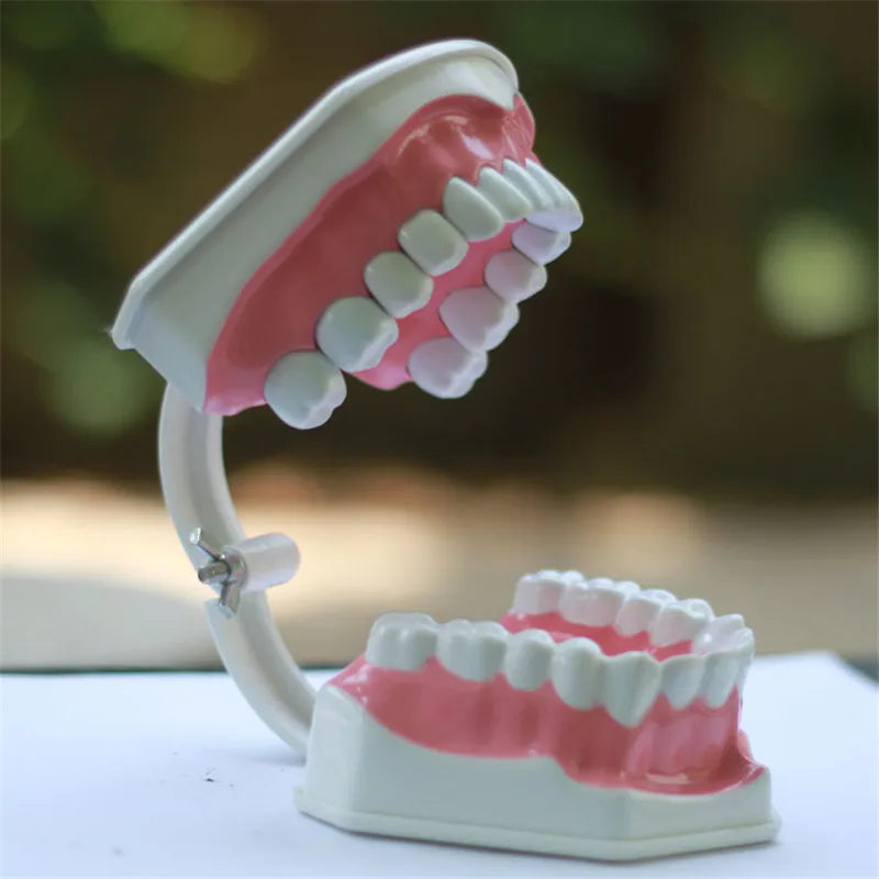 G Type Plastic Dental Toothbrush for Effective Brushing Multi-Purpose Teeth Whitening Accessory