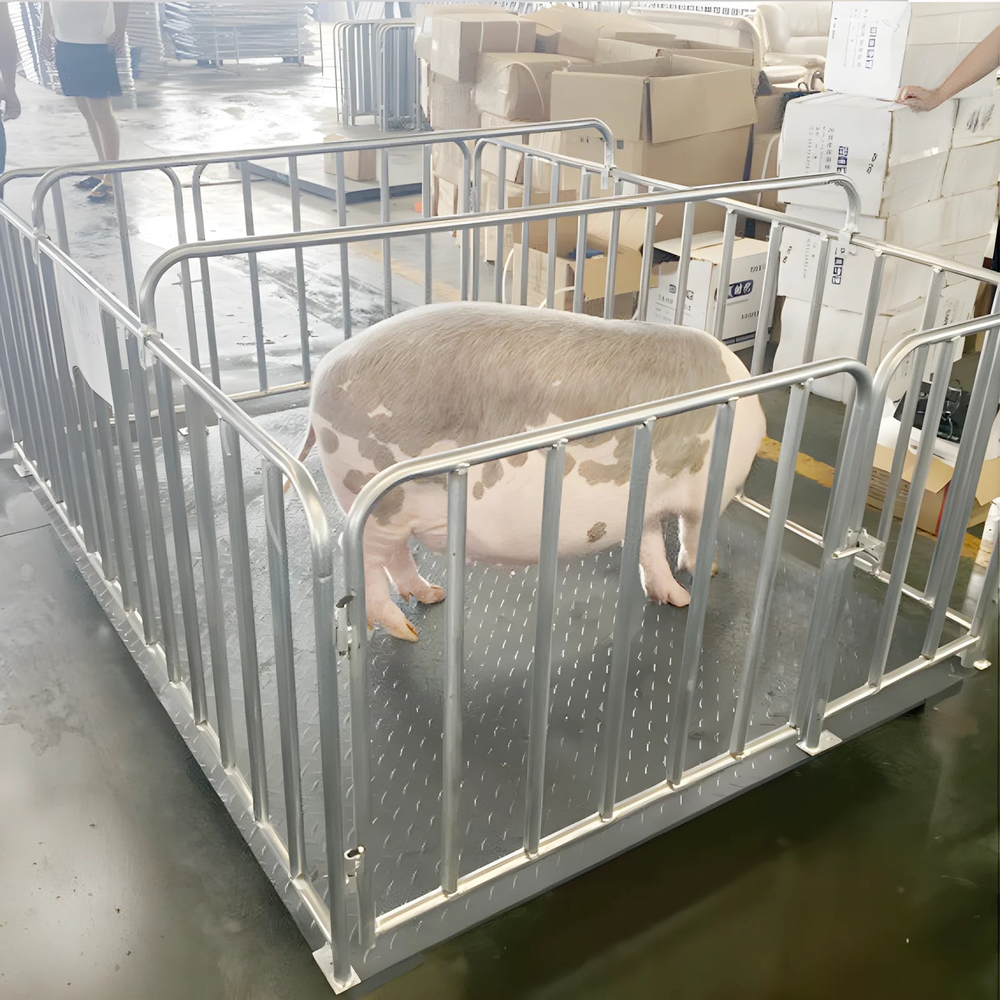 High Quality Carbon Steel 5 Ton Cattle Weighing Scales Industrial Electronic Balance Platform Floor Weighing Scales for Sale