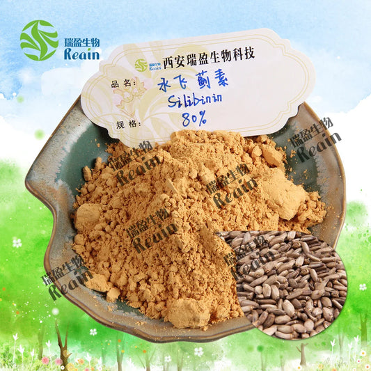 Milk Thistle Wholesale Silybum Marianum 80% Silymarin Powder Milk Thistle Extract