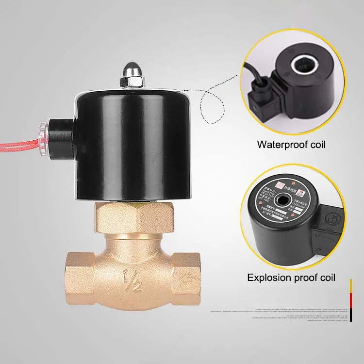 Factory Customized High Temperature Resistant Brass AC220V DN15 Water vapor pilot Solenoid Valve for Pass Steam by PDG ibma