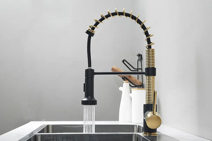 Kitchen Faucet Mixer Tap Black Gold  Pull Out Spring Kitchen Faucets