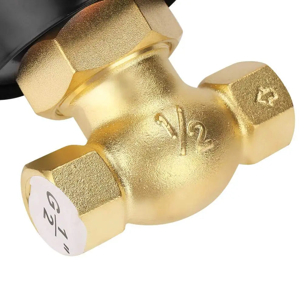1/2 Inch Brass Solenoid Valve for Hot Water Steam High Pressure Electric Control NC/DC12V/DC24V/AC110V/AC220V High OEM by PDG ibma