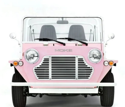 New Design Eco-Friendly Classic Car Electric Vehicle Mini Moke Electric Car Moke Electric Car for Adults
