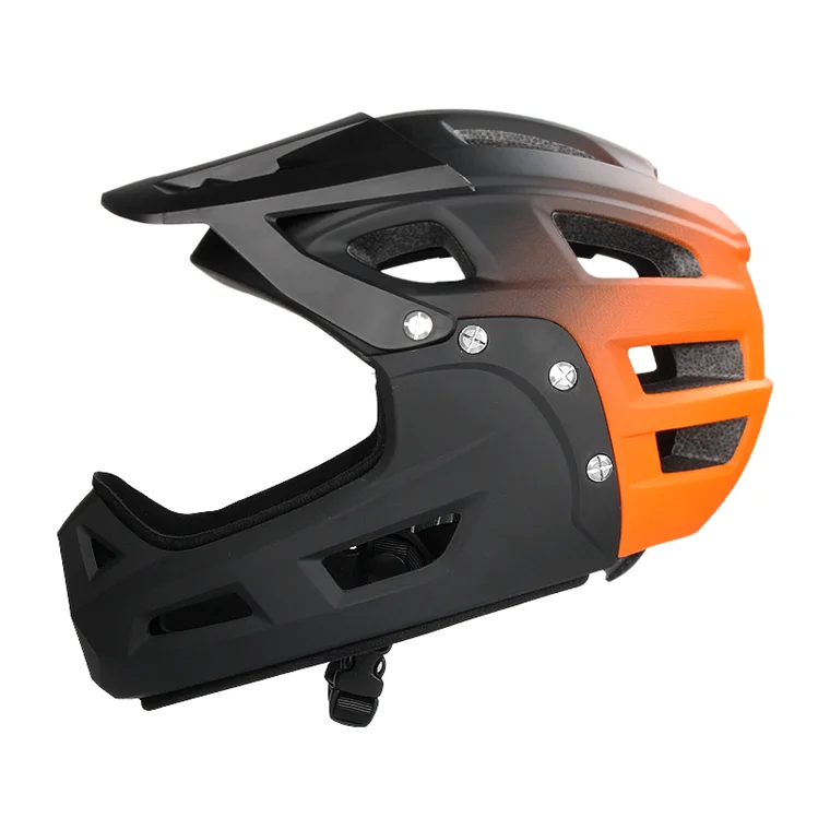 Custom Mountain Road Bike Safety Protective Full Face Helmets