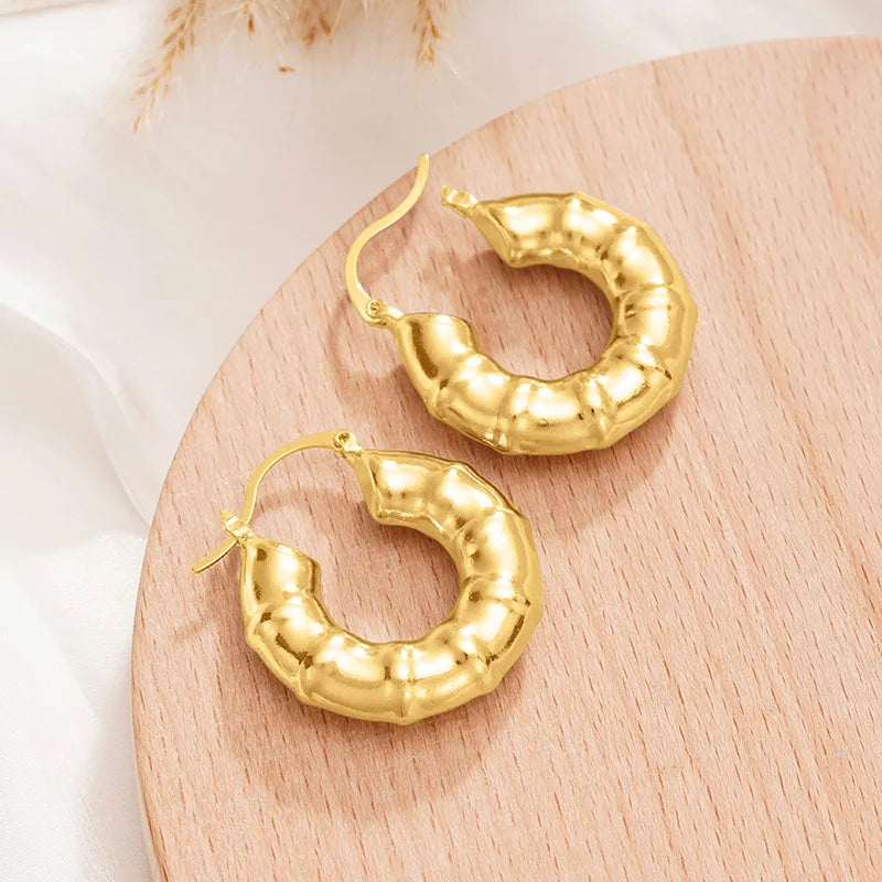 Gold Plated Geometric Hoop Earrings For Women Trendy Fashion Jewelry Alloy Earrings 18K Gold Finish