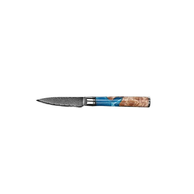 VG 10 Damascus Steel Kitchen Knife Set Household Knife Professional Chef's Knife With Stable Wooden Handle