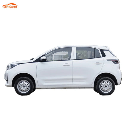 China Long Range  Large Space Adults Suv New Electric Ev Car Levdeo Letin mango for Sale