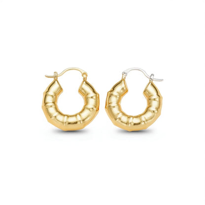 Gold Plated Geometric Hoop Earrings For Women Trendy Fashion Jewelry Alloy Earrings 18K Gold Finish