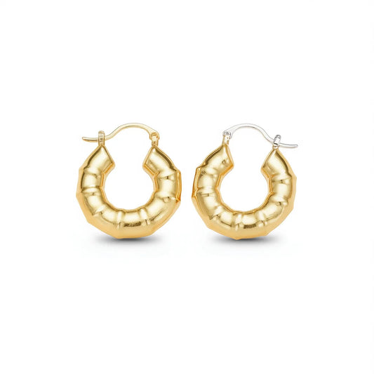 Gold Plated Geometric Hoop Earrings For Women Trendy Fashion Jewelry Alloy Earrings 18K Gold Finish
