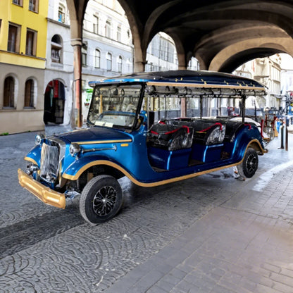 2025 Elegant Amusement Park 6 8 11 Passenger Sightseeing Electric Tourist Car Vintage Electric Sightseeing Car