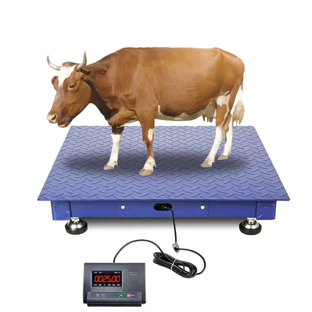 High Quality Carbon Steel 5 Ton Cattle Weighing Scales Industrial Electronic Balance Platform Floor Weighing Scales for Sale