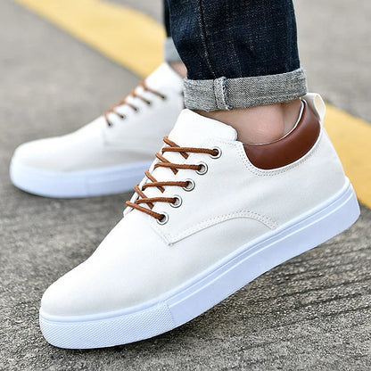 Shoes Men New Style 2024 Walking Shoes Casual Canvas Plus Size 48 Board Height Increasing Shoes