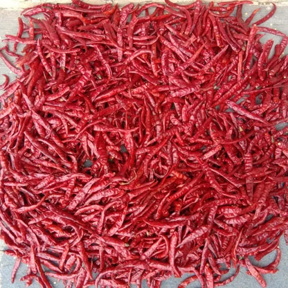 Premium Teja S17 Raw AD Dried Red Chilli Export Quality High Pungency Whole Red Pepper Bulk Supply From India